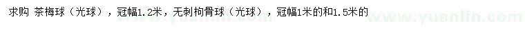 求購冠幅1.2米茶梅球、1、1.5米無刺枸骨球