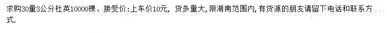 求購30量3公分杜英