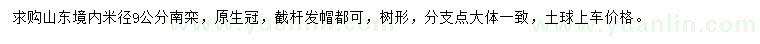 求購米徑9公分南欒