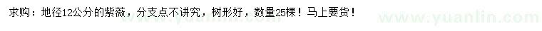 求購地徑12公分紫薇