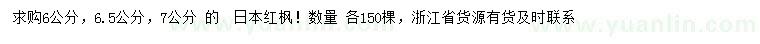 求購6、6.5、7公分日本紅楓