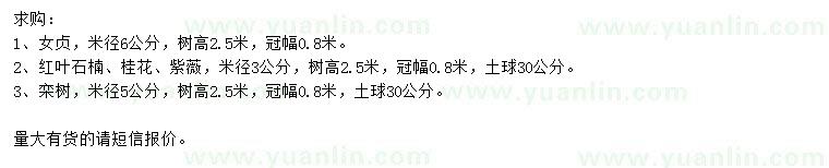 求購女貞、紅葉石楠、桂花等