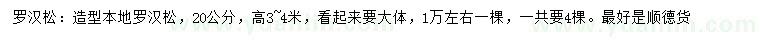 求購20公分造型本地羅漢松