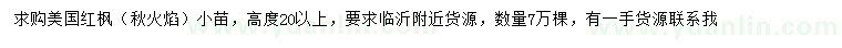求購高20公分以上美國紅楓
