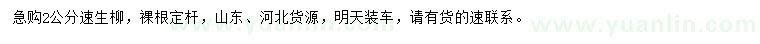 求購(gòu)2公分速生柳