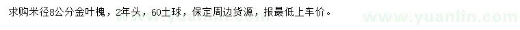 求購米徑8公分金葉槐