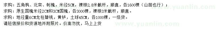 求購(gòu)五角楓、北欒、刺槐等