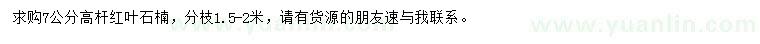 求購(gòu)7公分紅葉石楠
