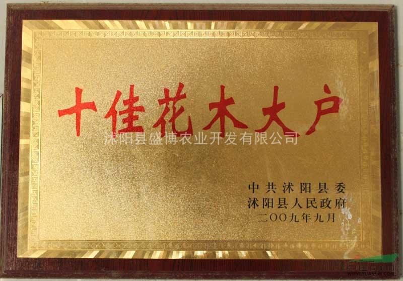 蜀檜價格 30-250公分蜀檜報價