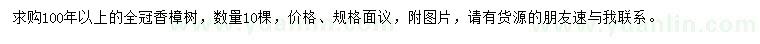 求購全冠香樟樹