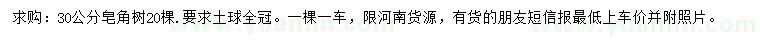 求購30公分皂角樹