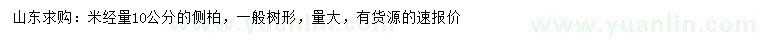 求購米徑10公分側柏