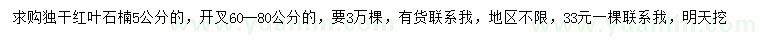 求購5公分紅葉石楠