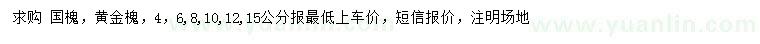 求購(gòu)4-15公分國(guó)槐、黃金槐