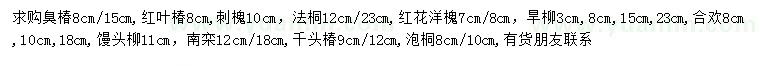 求購臭椿、紅葉椿、刺槐等