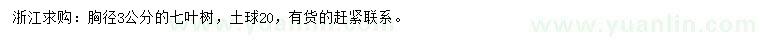 求購胸徑3公分七葉樹