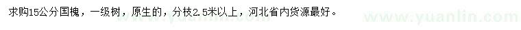 求購(gòu)15公分國(guó)槐