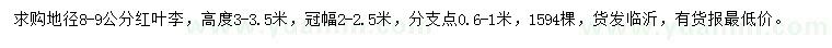 求購地徑8-9公分紅葉李