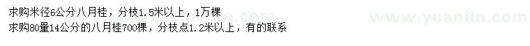 求購6、14公分八月桂