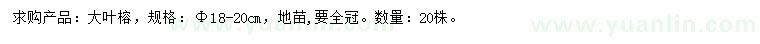 求購(gòu)18-20公分大葉榕