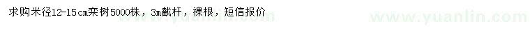 求購12-15公分欒樹