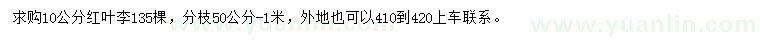 求購10公分紅葉李