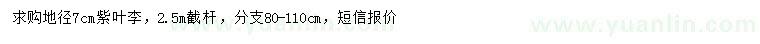 求購地徑7公分紫葉李