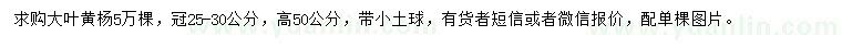 求購冠幅25-30公分大葉黃楊