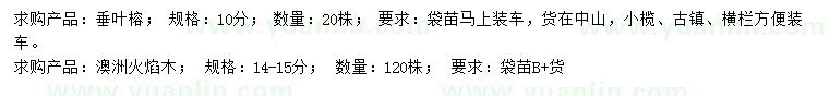 求購(gòu)10公分垂葉榕、14-15公分澳洲火焰木