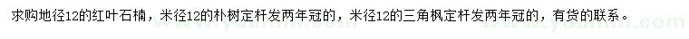 求購紅葉石楠、樸樹、三角楓