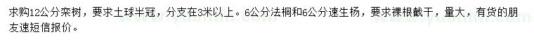 求購欒樹、法桐、速生楊