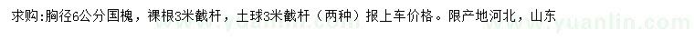 求購(gòu)胸徑6公分國(guó)槐