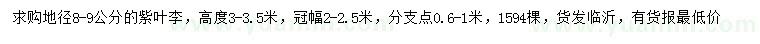 求購(gòu)地徑8-9公分紫葉李