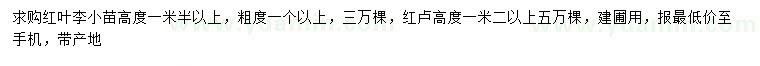 求購(gòu)高1.5米以上紅葉李小苗、高1.2米以上紅櫨