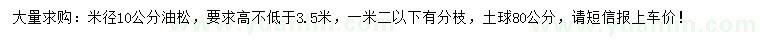 求購米徑10公分油松