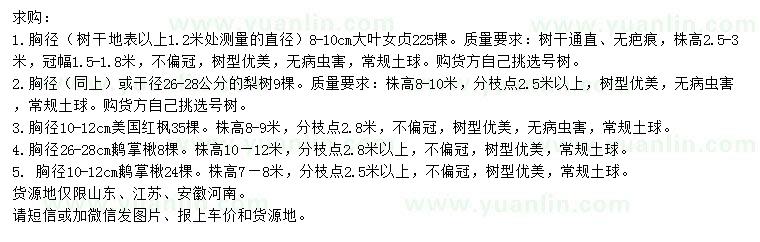 求購(gòu)大葉女貞、梨樹、美國(guó)紅楓等