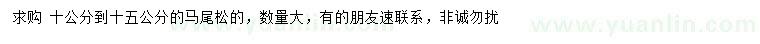求購10-15公分馬尾松