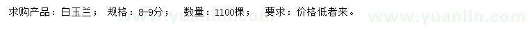 求購(gòu)8-9公分白玉蘭