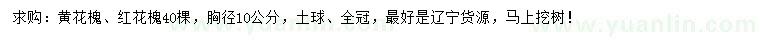 求購(gòu)胸徑10公分黃花槐、紅花槐