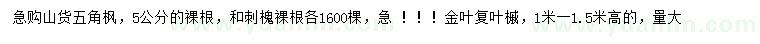 求購五角楓、刺槐、金葉復(fù)葉槭
