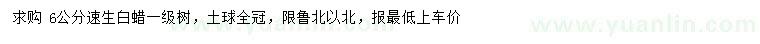 求購6公分速生白蠟