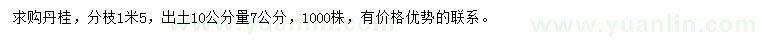求購10公分量7公分丹桂