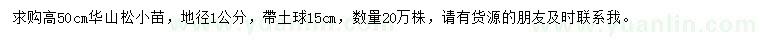 求購高50公分華山松