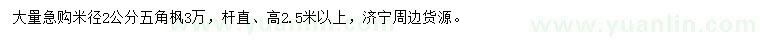 求購米徑2公分五角楓