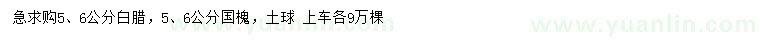 求購5、6公分白臘、國槐