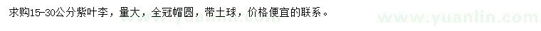 求購15-30公分紫葉李