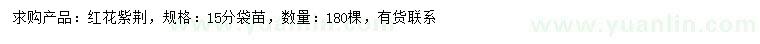 求購15公分紅花紫荊