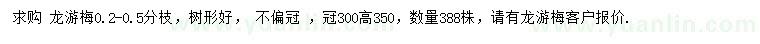 求購高350公分龍游梅