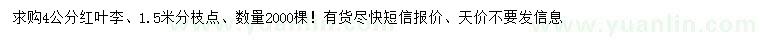 求購4公分紅葉李