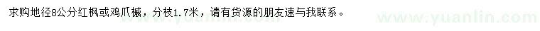 求購地徑8公分紅楓、雞爪槭